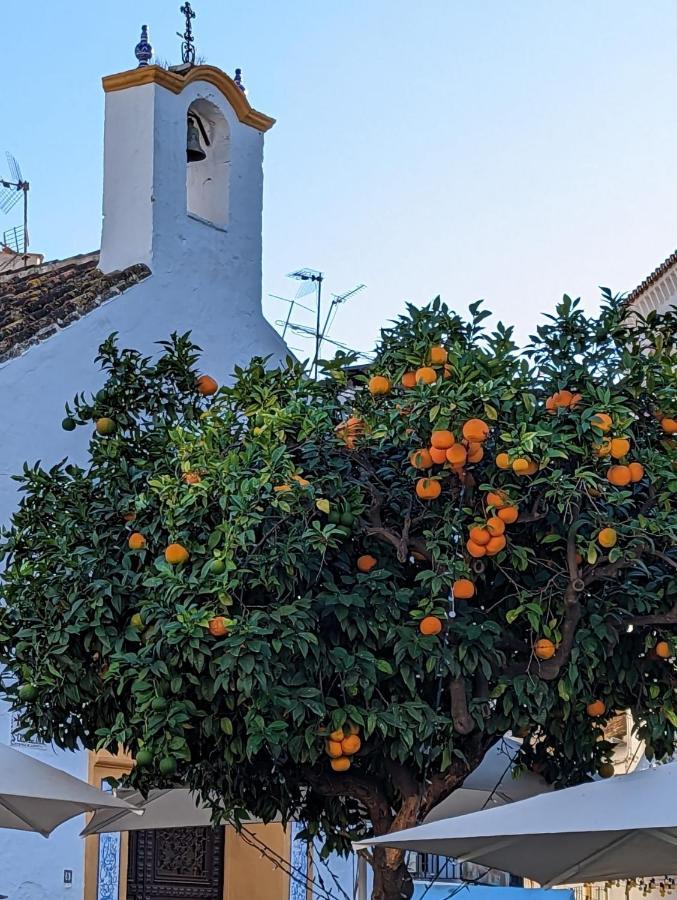 - Playa Alicate 2br Leilighet